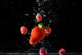 Red strawberries falling into water on black background. Fresh fruits splashing Royalty Free Stock Photo