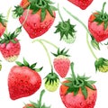 Red strawberries wild fruit. Seamless background pattern. Fabric wallpaper print texture. Royalty Free Stock Photo