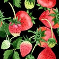 Red strawberries wild fruit. Seamless background pattern. Fabric wallpaper print texture. Royalty Free Stock Photo