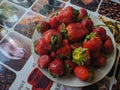 Red strawberries on the kitchen table in Kamen-na-Obi, Altai, Russia. View