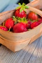 Red strawberries in twiggen basket Royalty Free Stock Photo