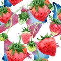 Red strawberries wild fruit. Seamless background pattern. Fabric wallpaper print texture. Royalty Free Stock Photo