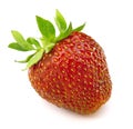 A red strawberry Royalty Free Stock Photo