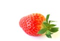 Red strawberry Royalty Free Stock Photo