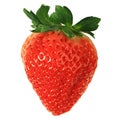 Red strawberry Royalty Free Stock Photo