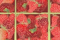 Red strawberry background illustration Royalty Free Stock Photo