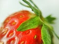 Red strawberry berry isolated on white background Royalty Free Stock Photo