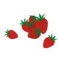 red strawberry berry. Set of flower petal strawberry. Illustration on a white background. Vector