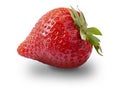 Red strawberry close up on white background. Studio shot stacked image Royalty Free Stock Photo