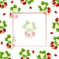 Red Strawberry and Flower Banner on White Background2 Royalty Free Stock Photo