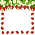 Red Strawberry and Flower Frame on White Background Royalty Free Stock Photo