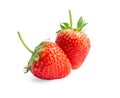 Red strawberry is a fresh berry fruit isolated on white background, di cut with clipping path Royalty Free Stock Photo