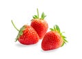 Red strawberry is a fresh berry fruit isolated on white background, di cut with clipping path Royalty Free Stock Photo