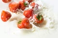 Red strawberry fruits falling into the milk Royalty Free Stock Photo