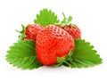 Red strawberry fruits with green leaves Royalty Free Stock Photo