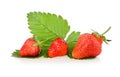 Red strawberry fruits with green leaves Royalty Free Stock Photo