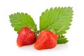 Red strawberry fruits with green leaves Royalty Free Stock Photo