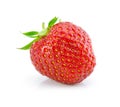 Red strawberry fruits isolated on white Royalty Free Stock Photo