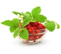 Red strawberry fruits with leafs isolated