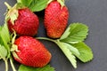 Red strawberry with green leaves on a dark background Royalty Free Stock Photo