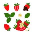 Red strawberry and half a strawberry. Set flower, petal, strawberry, chocolate strawberry