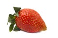 A red strawberry, isolated on a white Royalty Free Stock Photo