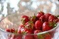 The red strawberry is a juicy and the most sumptuous fruit with a lot of vitamins.
