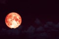 red strawberry moon back on silhouette heap cloud on sunset sky Royalty Free Stock Photo