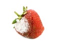 Red strawberry with a patch of mold