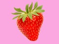 Red strawberry picture Pink background