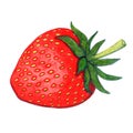 Red strawberry risography retro illustration Royalty Free Stock Photo