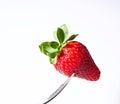 Fresh big red strawberry Royalty Free Stock Photo