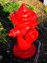 Red Street Fire Hydrant Royalty Free Stock Photo