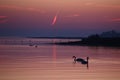 Red stripe and two swans in the sky reflected in the sea Royalty Free Stock Photo