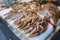 Red striped mullet and other sea fishes on the counter in a greek fish shop. Royalty Free Stock Photo