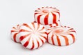 Red Striped Peppermints Royalty Free Stock Photo