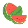 Red striped watermelon, whole and cut, and slice, juicy fruit, melon crop