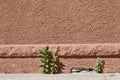 Red stucco wall texture showing a sidewalk and some incidental weeds