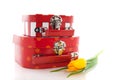 Red suitcases Royalty Free Stock Photo
