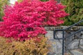 Red sumac surrounds an outdoor stone stairway in Skamania County, Washington