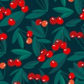 Red summer cherry on black background Royalty Free Stock Photo