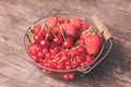 Red summer fruits Royalty Free Stock Photo