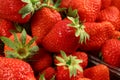 Red summer strawberries, seasonal fruit, macro