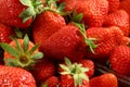 Red summer strawberries, seasonal fruit