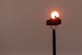 red sun behind seagul on a post Royalty Free Stock Photo