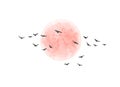 Red Sun and Flying Birds Isolated Royalty Free Stock Photo