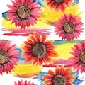 Red sunflower. Floral botanical flower. Seamless background pattern.