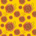 Red Sunflower vector seamless pattern with leaves, imitating ink and watercolor on yellow background. Hand-drawn flower heads. Royalty Free Stock Photo