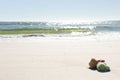 Red sunglasses, sunhat and rolled beach towel on sunny sand beach by the sea, copy space