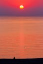 red sunrise at the black sea. sun above horizon on a cloudless sky Royalty Free Stock Photo